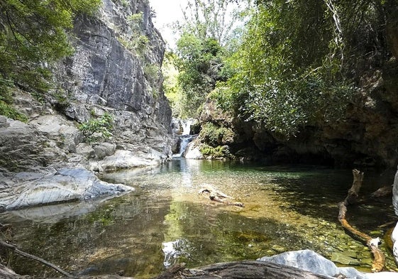 La naturaleza se esfuerza en enmendar los desastres humanos en este paraje.