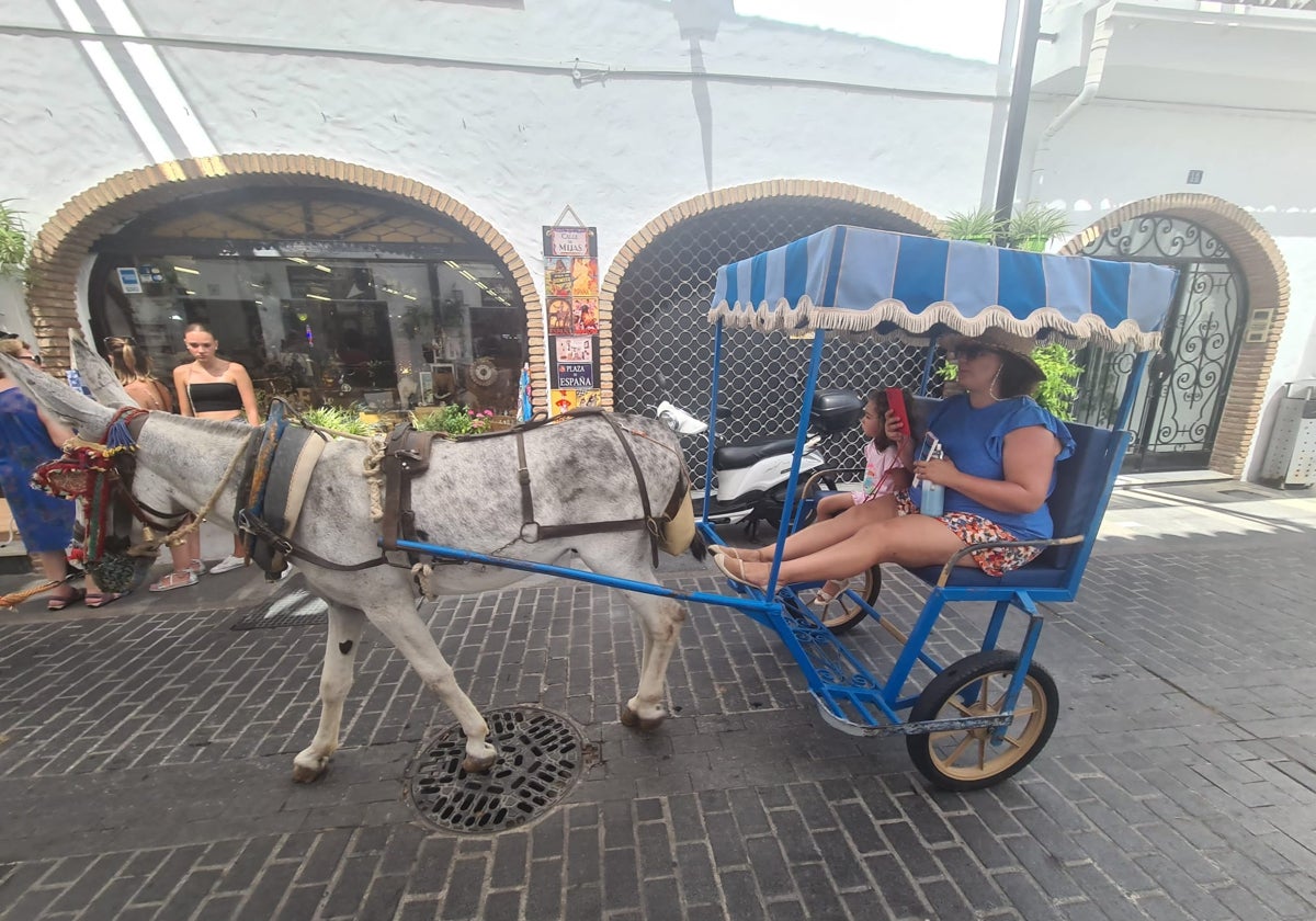 Burro taxi por las calles de Mijas.