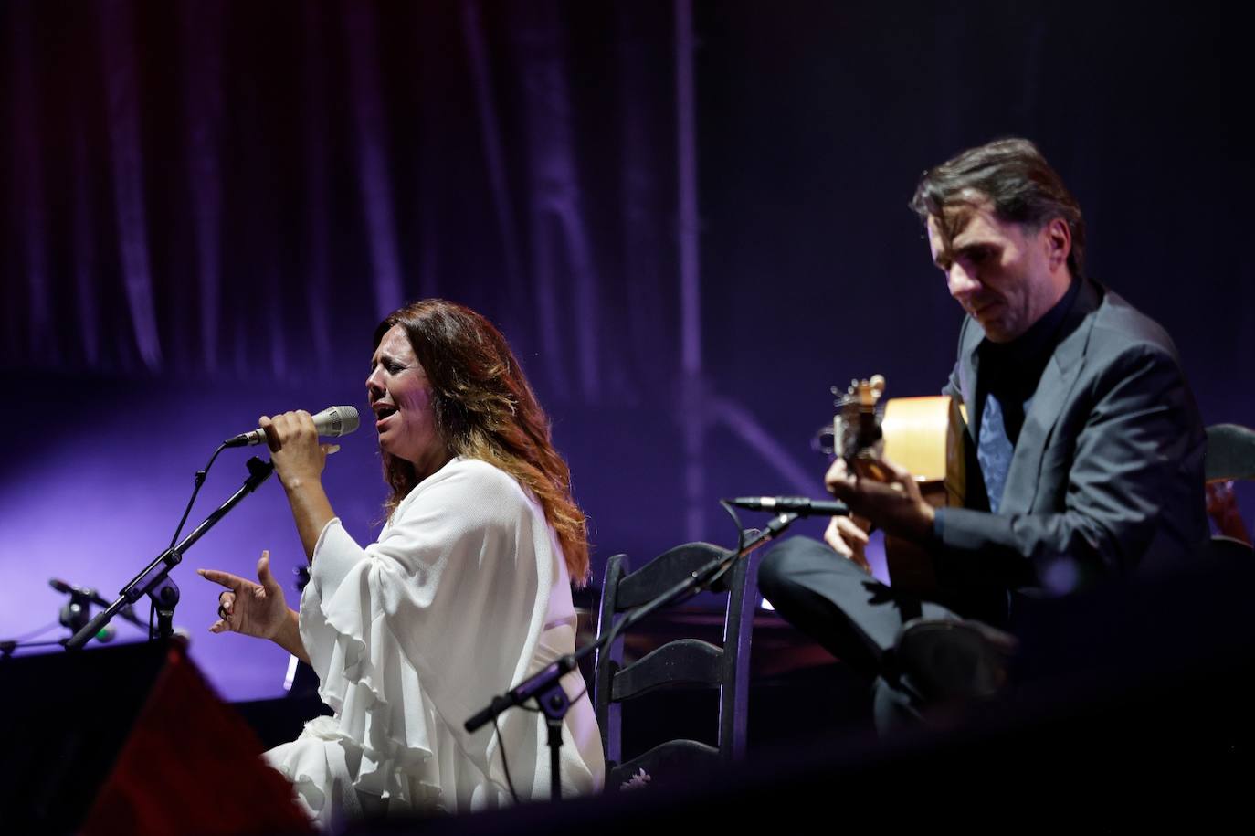 Noche flamenca en la Feria de Málaga