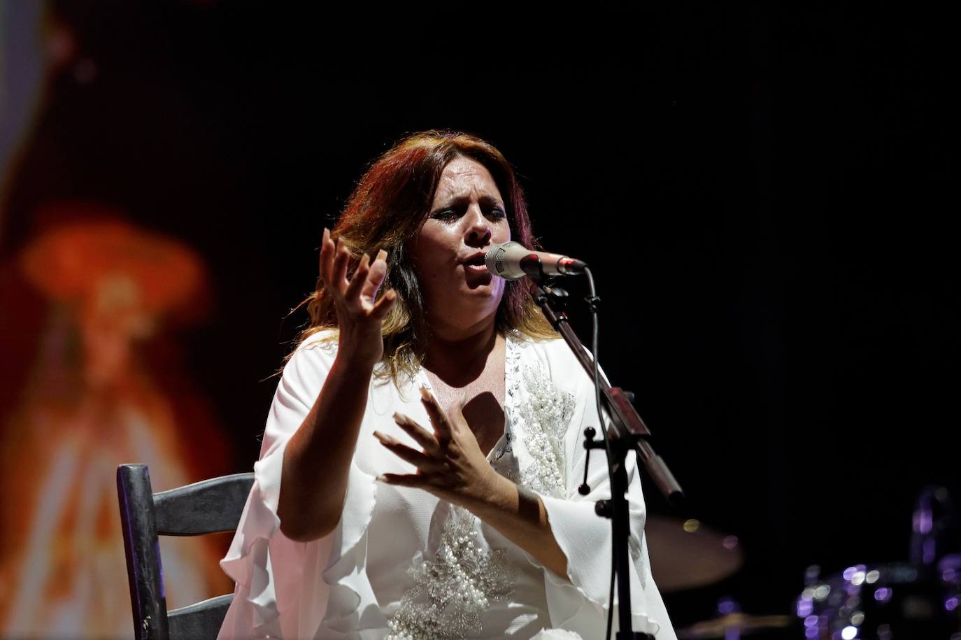 Noche flamenca en la Feria de Málaga