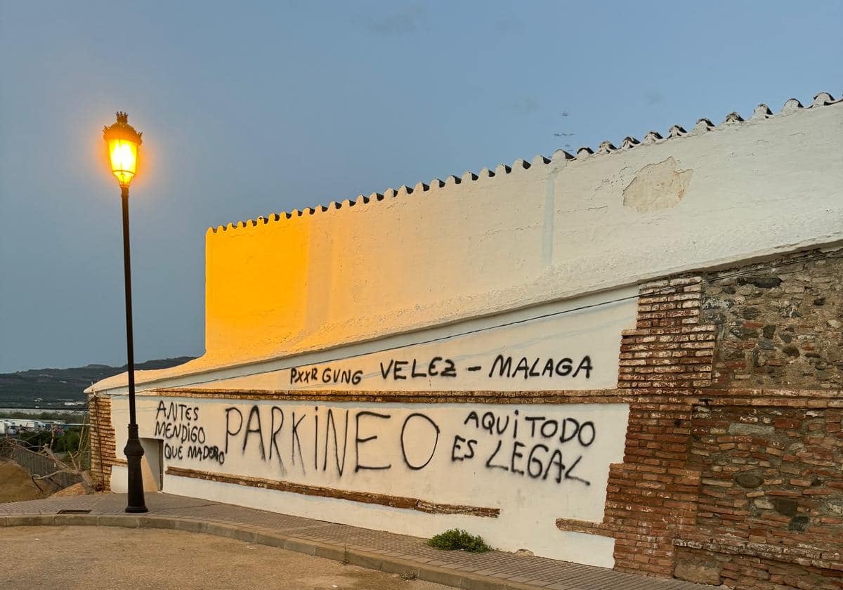 Imagen de las pintadas en el camposanto veleño.