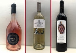 La cata: los vinos destacados de la última semana de agosto