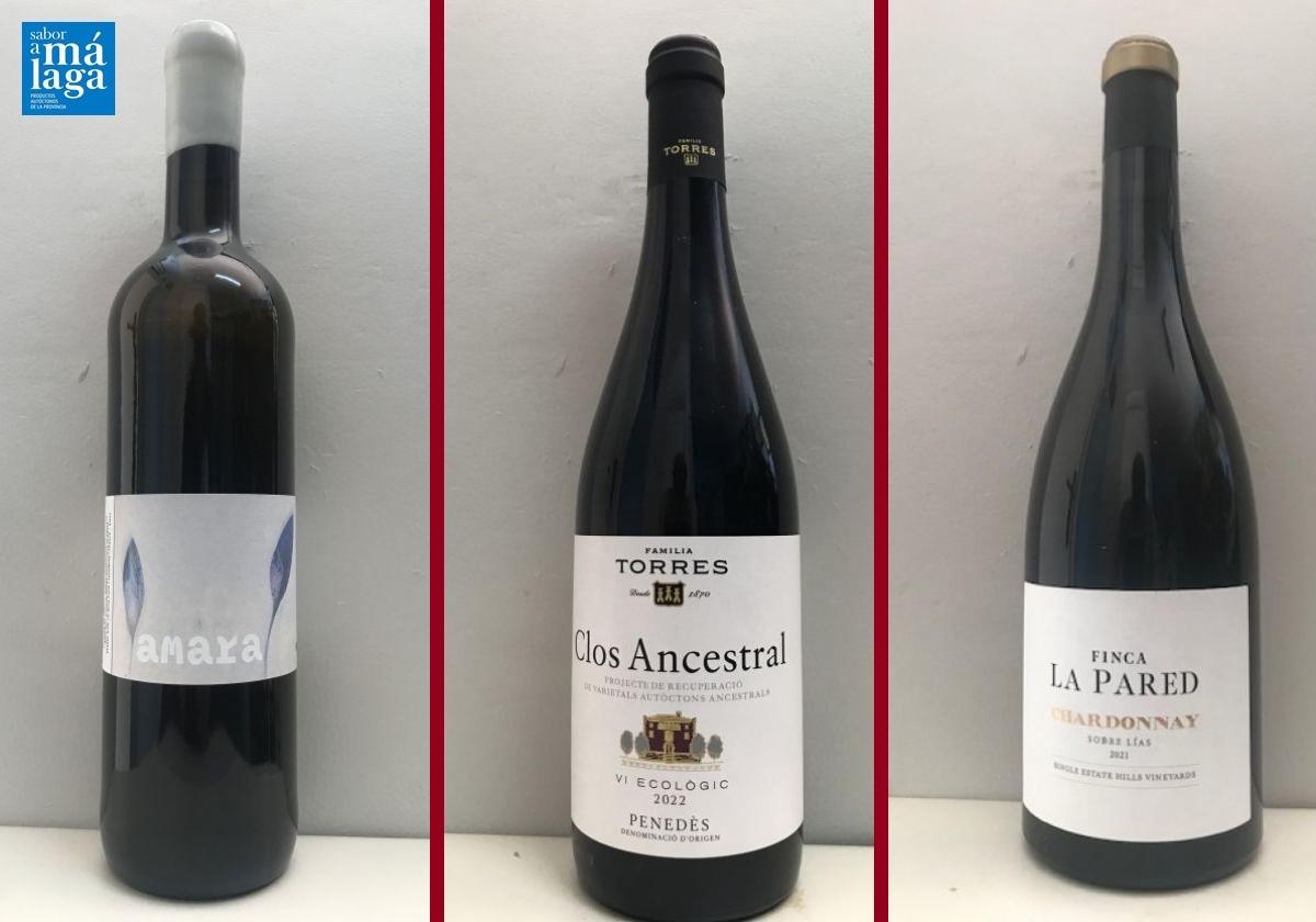 La cata: los vinos recomendados para la primera semana de septiembre