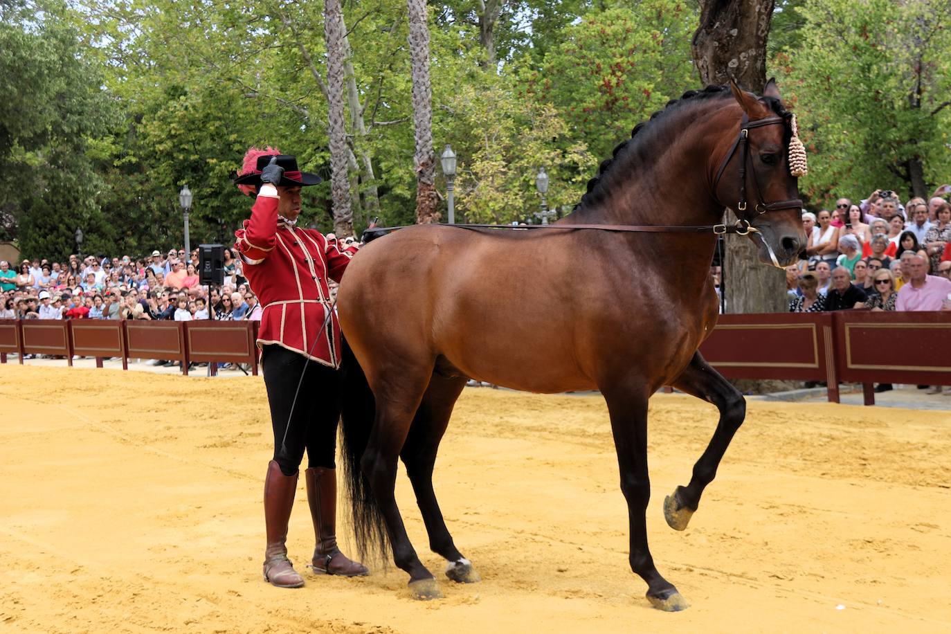 Desfile de Damas Goyescas en Ronda