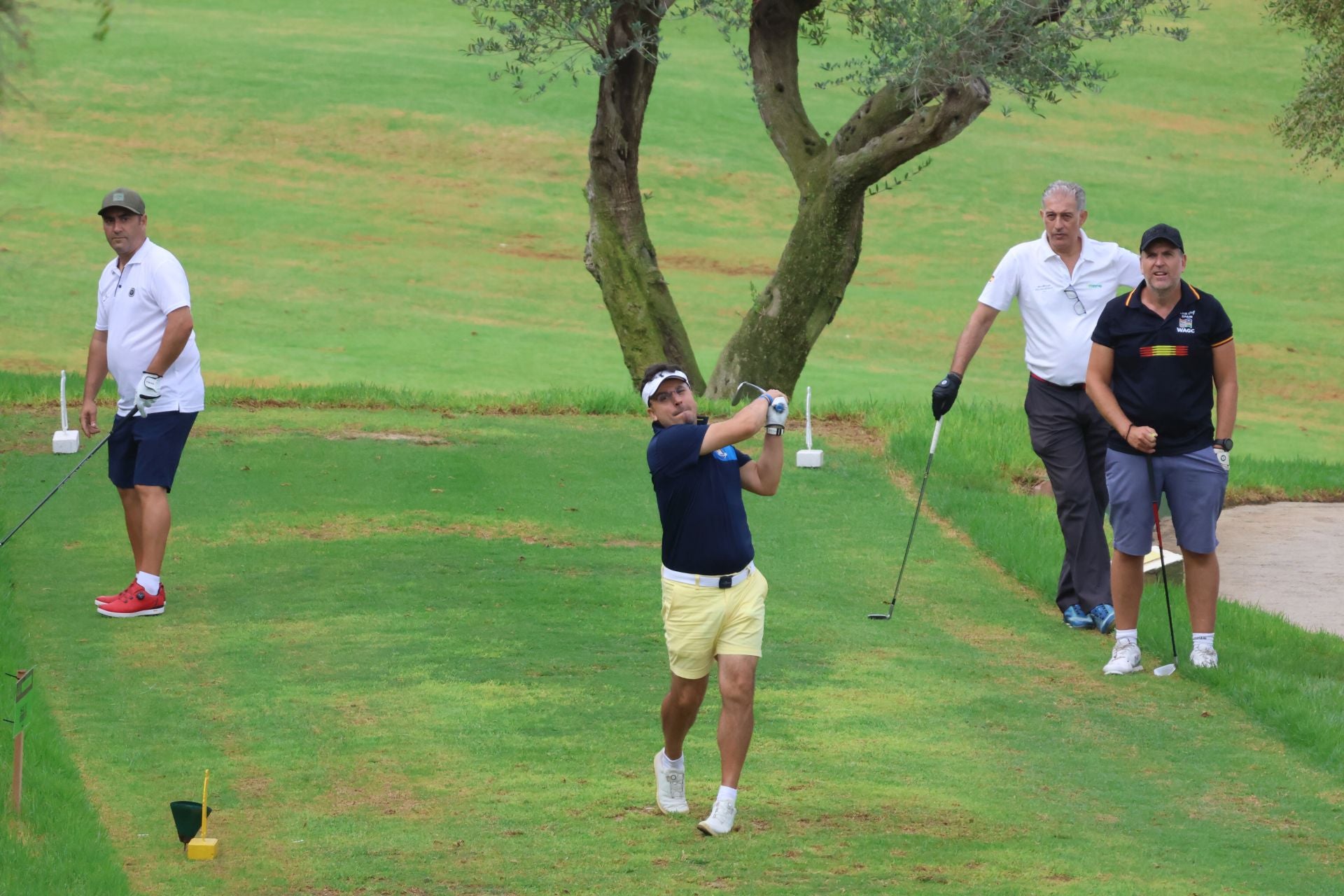 El Torneo de Golf de Empresas de Diario SUR en Benahavís, en imágenes