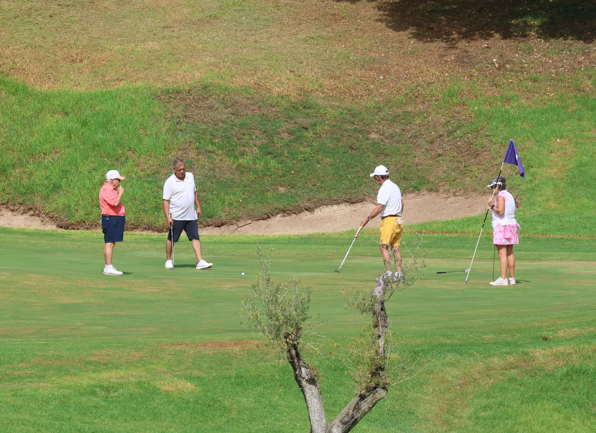 El Torneo de Golf de Empresas de Diario SUR en Benahavís, en imágenes
