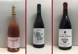 La cata: los vinos destacados de la segunda semana de septiembre