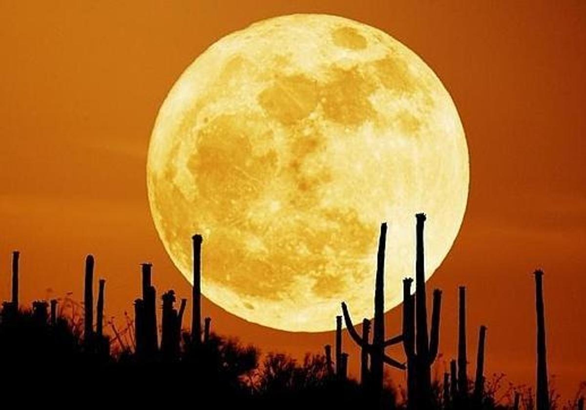 Llega la Luna de Cosecha, que coincide con un eclipse: ¿cuándo y dónde se podrá ver?