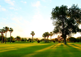 El Real Guadalhorce Club de Golf acoge el Campeonato de Europa del drive más largo