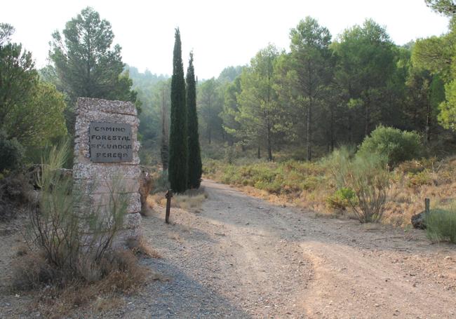 Monolito donde empieza el camino forestal Salvador Pereña