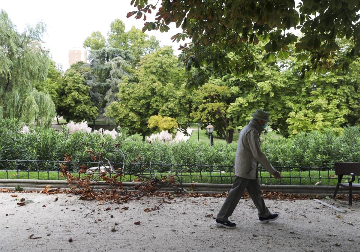 Un hombre pasa junto a la rama caída de un árbol a causa de la borrasca 'Aitor' que ha traído fuertes rachas de viento.