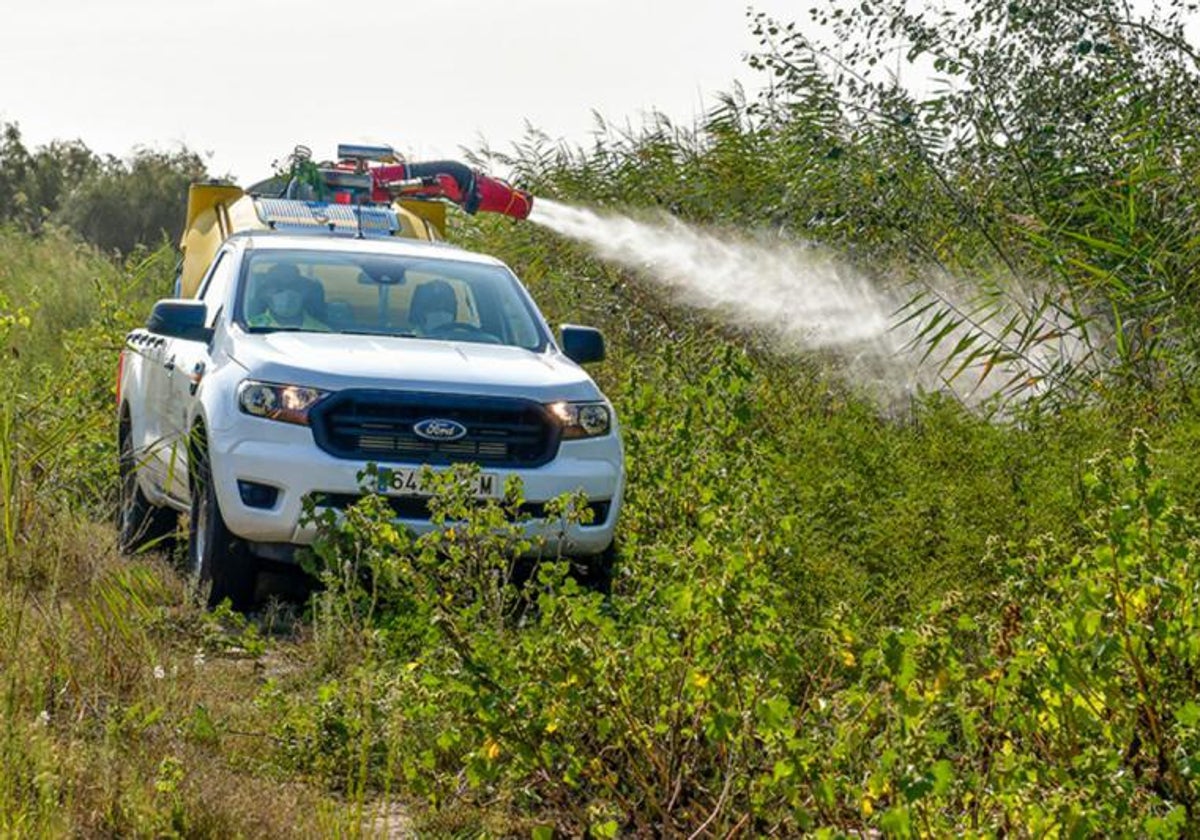 Las autoridades activan fumigaciones y vigilancia intensiva en varios municipios por el Virus del Nilo Occidental.