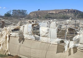 Imagen del invernadero abandonado en la zona de la vega de Almayate.