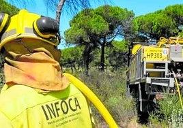 Controlado el incendio que ha afectado a una zona de Manilva