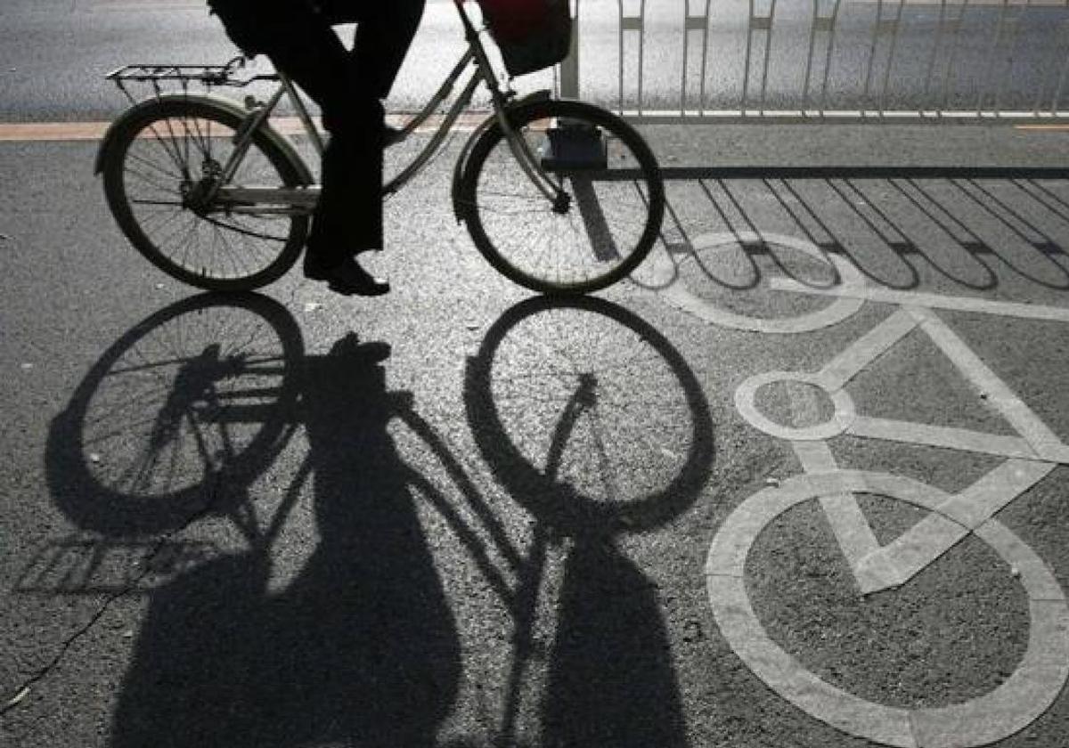 Condenan a una mujer a pagar 9.613 euros a un ciclista atacado por su perro en un carril bici