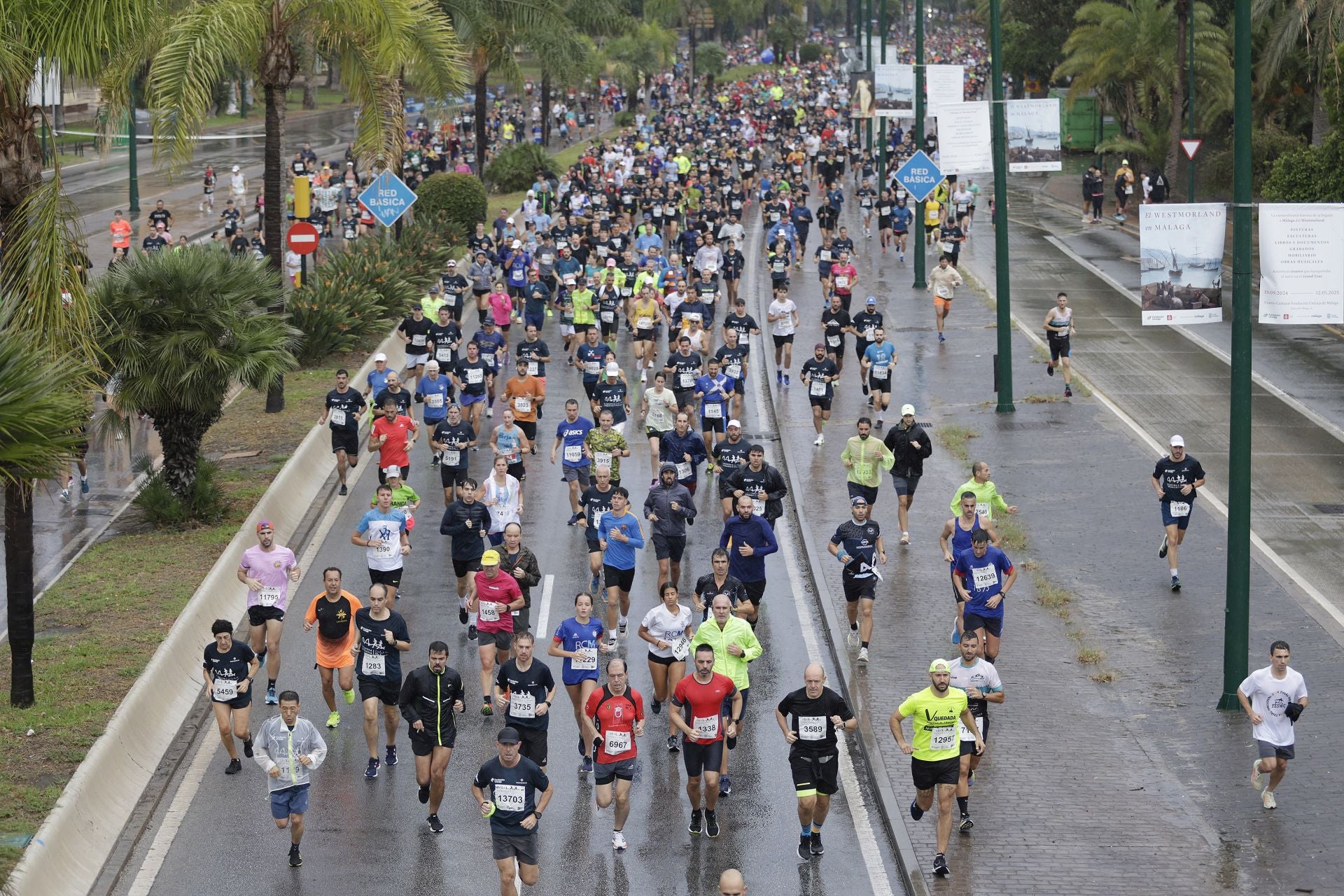 Las mejores imágenes de la Carrera Urbana Ciudad de Málaga de 2024