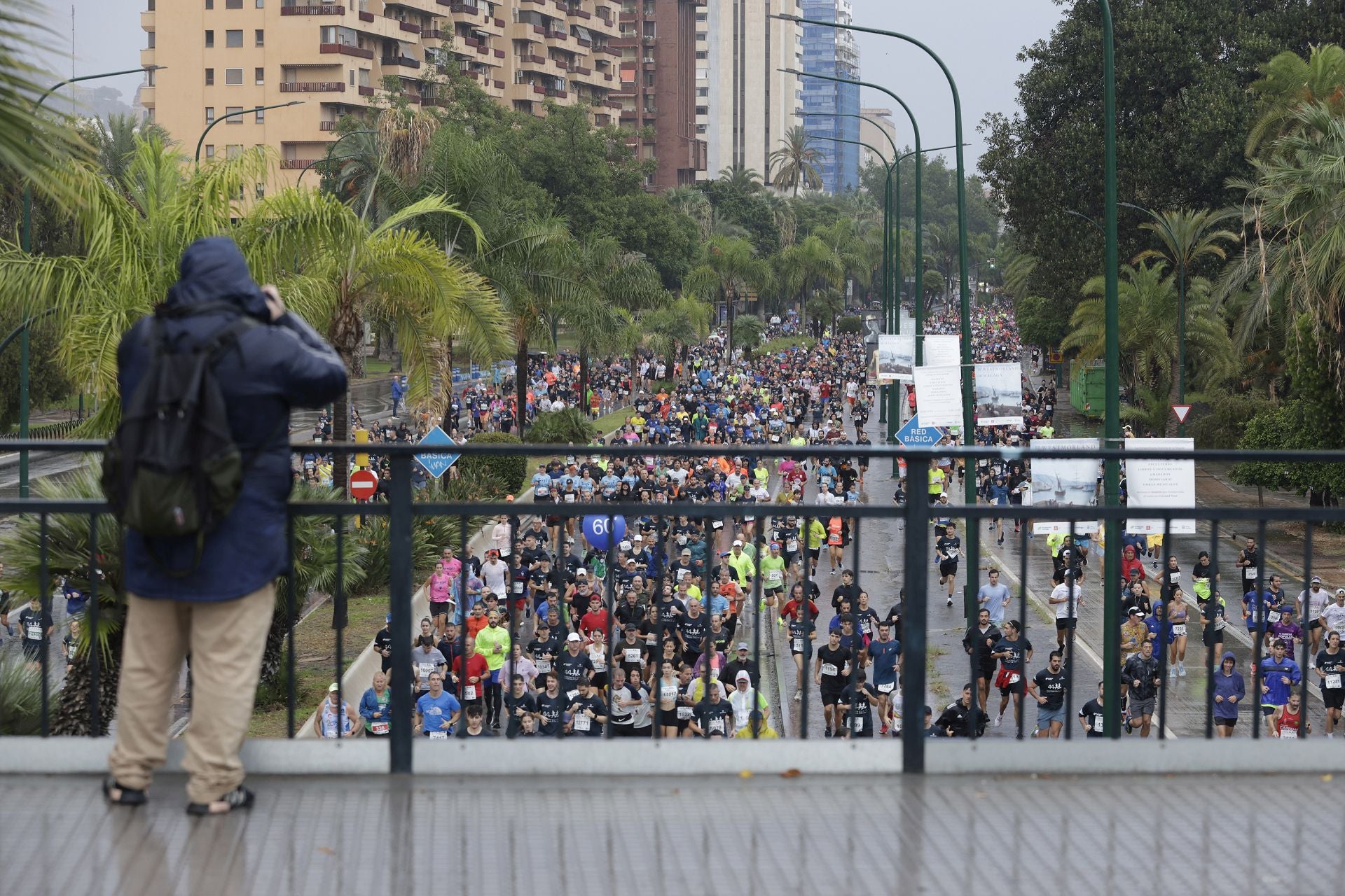 Las mejores imágenes de la Carrera Urbana Ciudad de Málaga de 2024