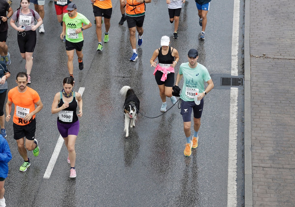 Imagen principal - Tres mil valientes y tres mil motivos para correr bajo la lluvia