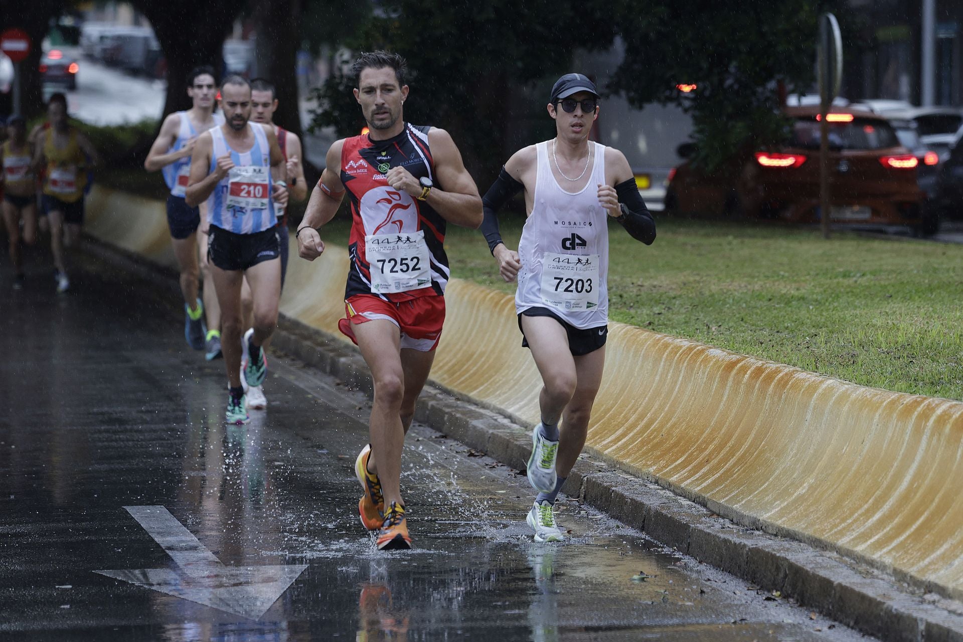 Las mejores imágenes de la Carrera Urbana Ciudad de Málaga de 2024