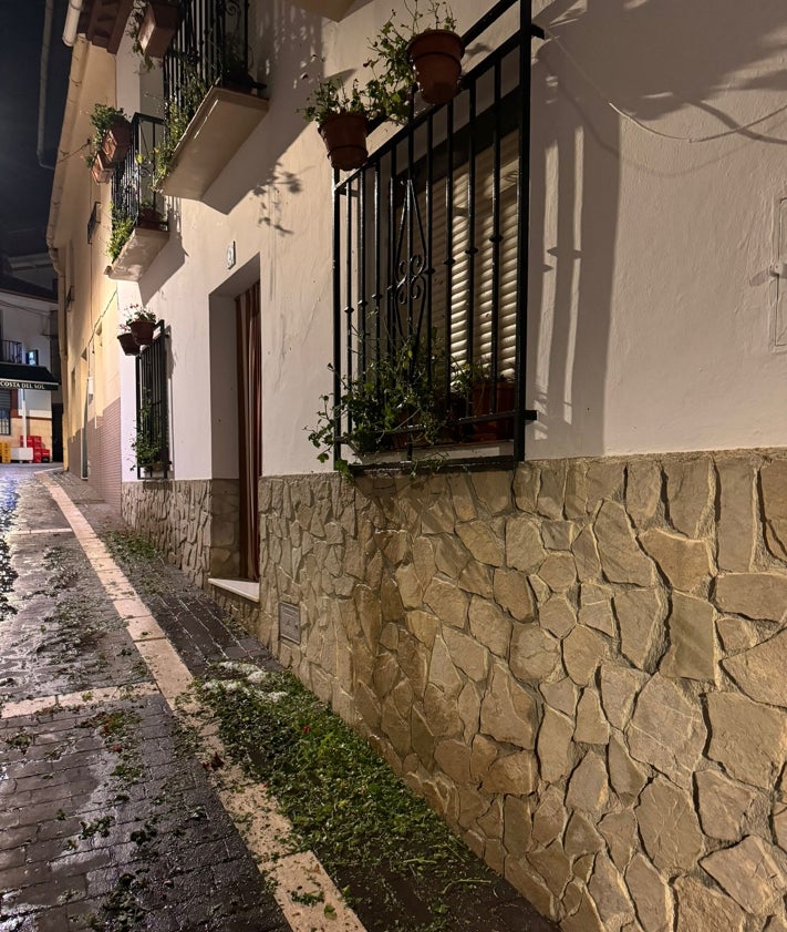 Imagen secundaria 2 - Tres imágenes de los efectos de la granizada caída este pasado sábado por la tarde en Alfarnate.