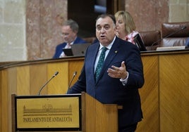 Bernal, en una reciente comparecencia en el Parlamento de Andalucía.