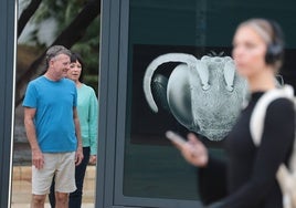 Una de las imágenes de la exposición 'Nanocosmos', en calle Alcazabilla.