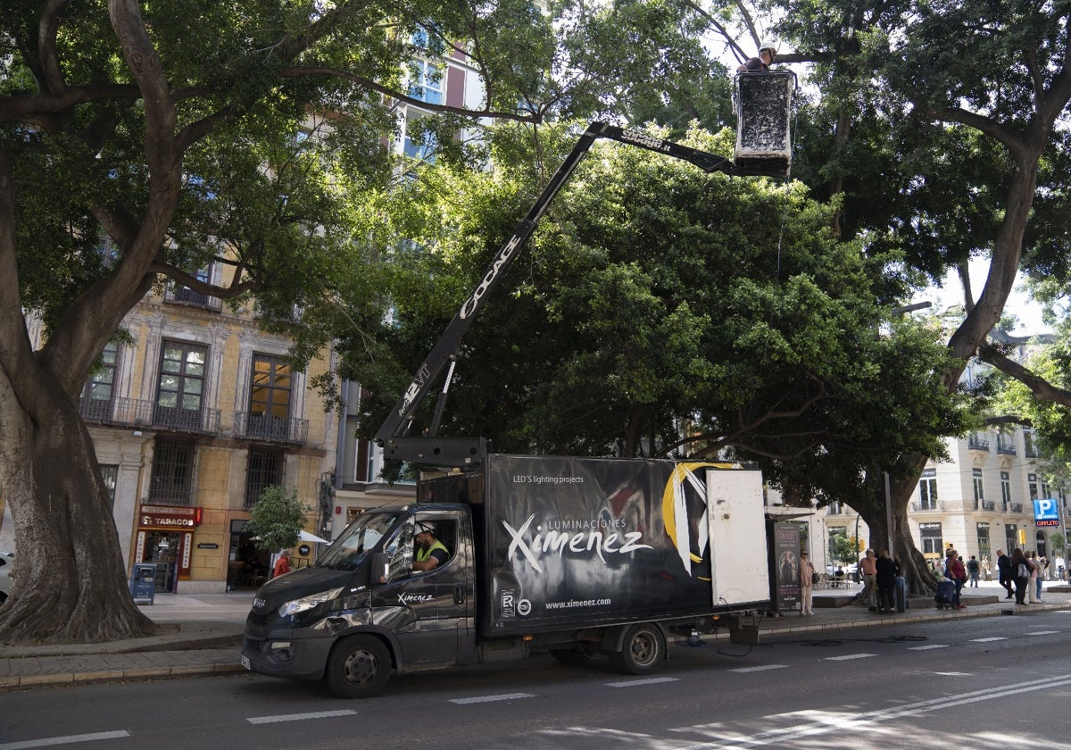 Los operarios de la empresa trabajan en la Alameda Principal.