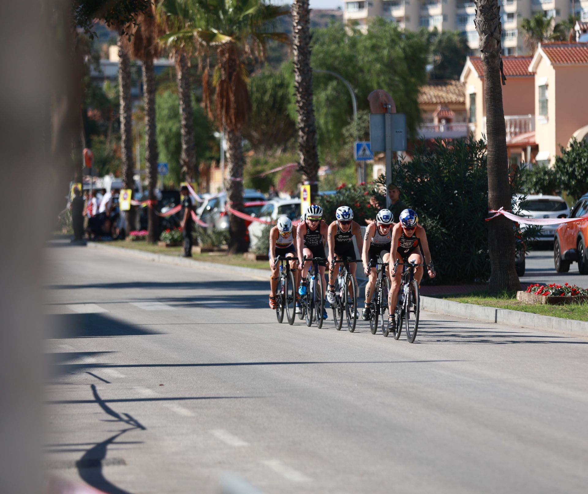 Élite Femenina Triatlón