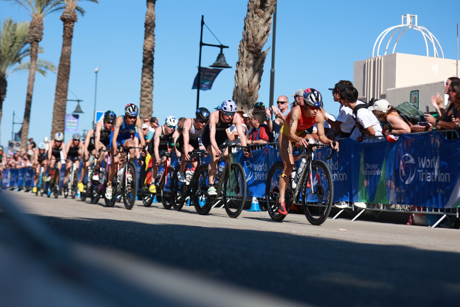 Élite Femenina Triatlón