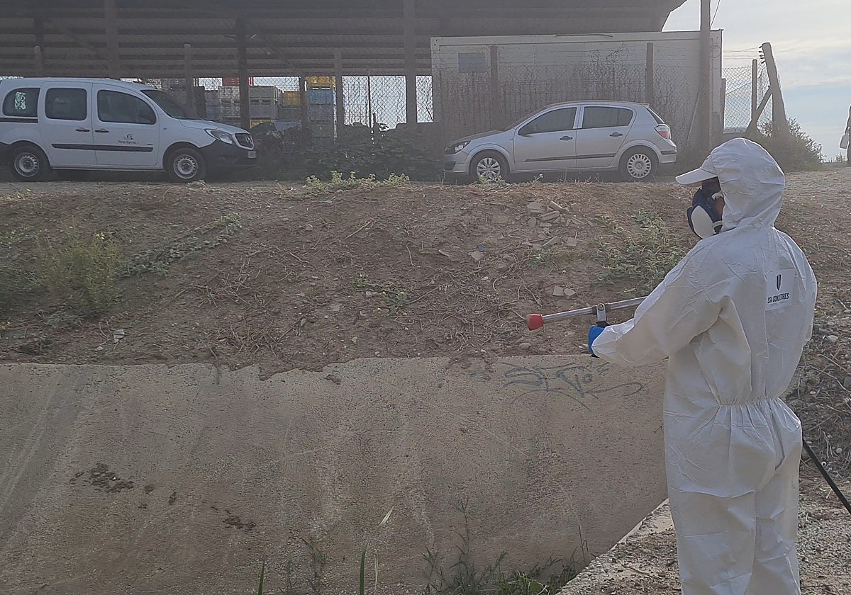 Fumigación en Zapata, el pasado 24 de septiembre.