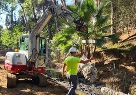 Trabajadores colocan gaviones en los márgenes del arroyo para evitar nuevas crecidas.