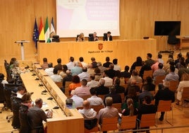 Salado, en la reunión de este miércoles con representantes municipales en el salón de plenos.