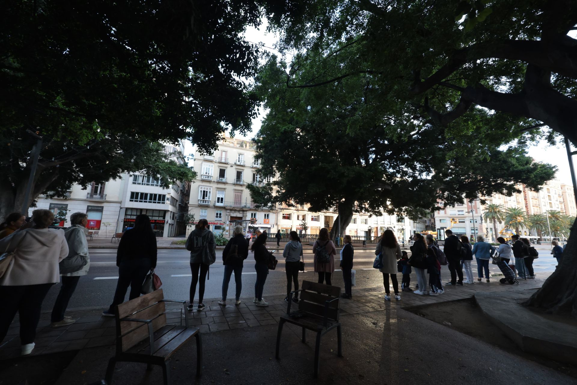 Largas colas en las paradas de autobús en Málaga por la huelga de conductores