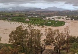 Terrenos próximos al Guadalhorce inundados en Álora.