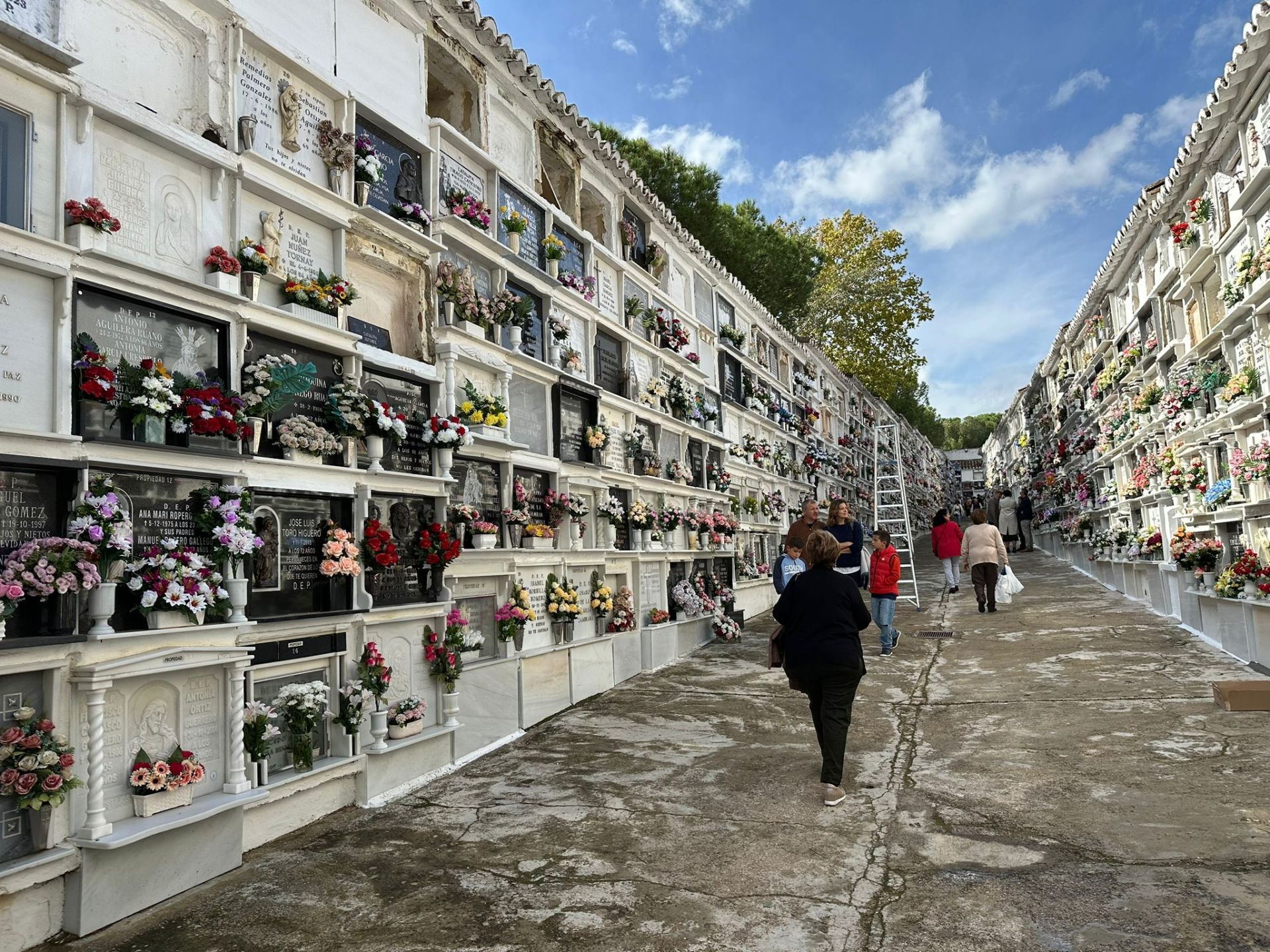 Cementerio de Ronda