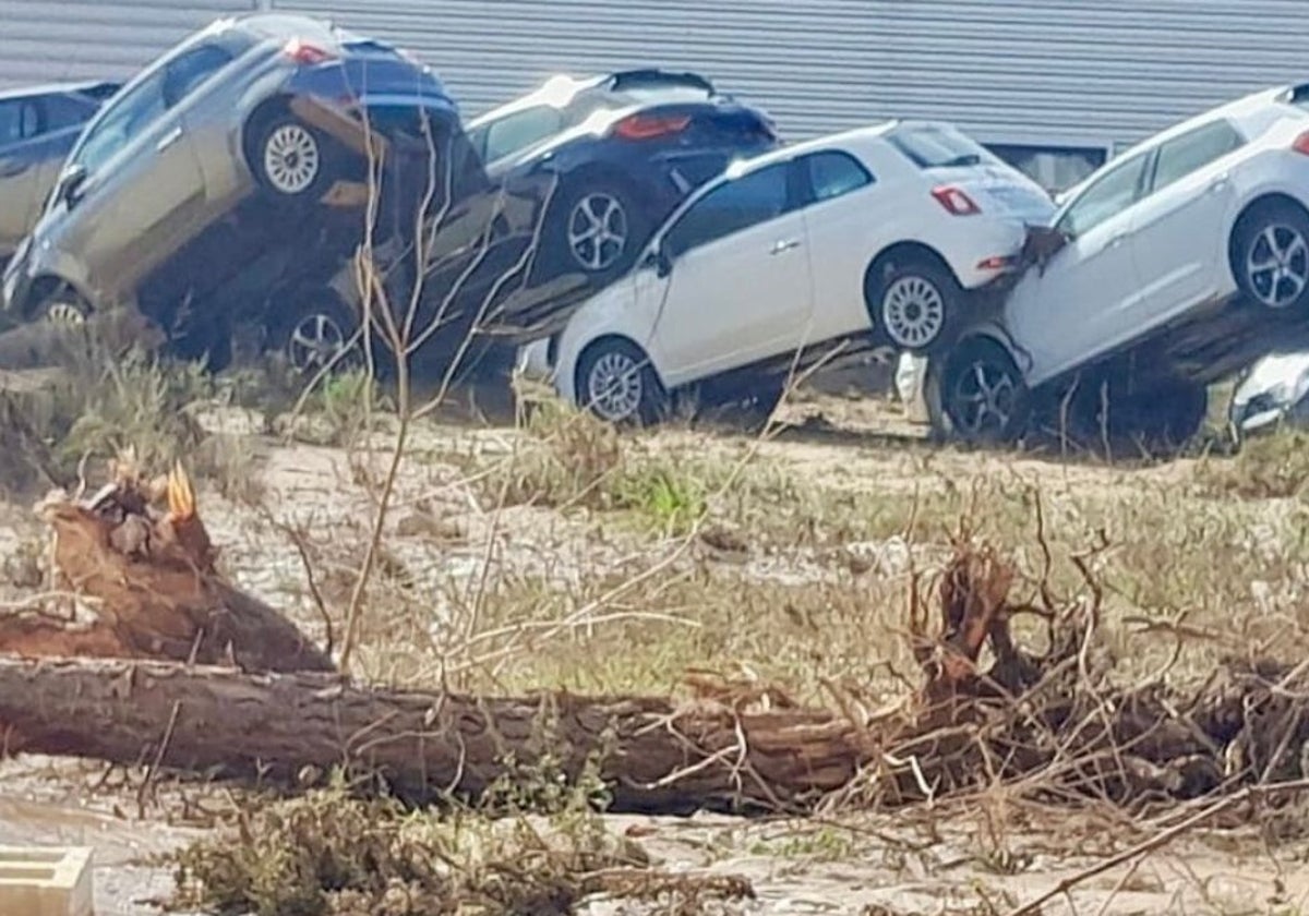 Daños en Valencia tras el paso de la Dana.