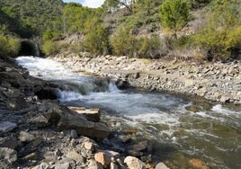 Entrada de agua en el embalse de La Concepción desde el trasvase de Guadaiza, este lunes.