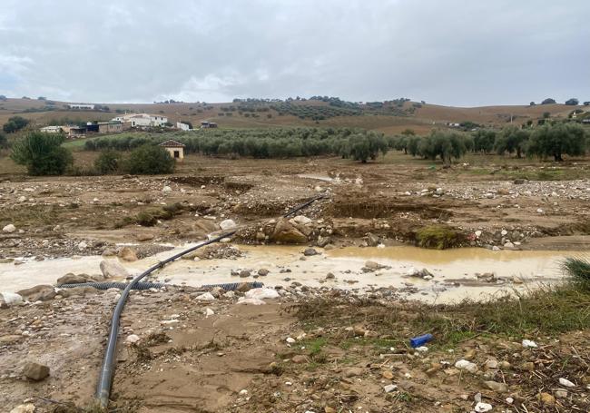 Una de las zonas inundadas del municipio de Almogía.