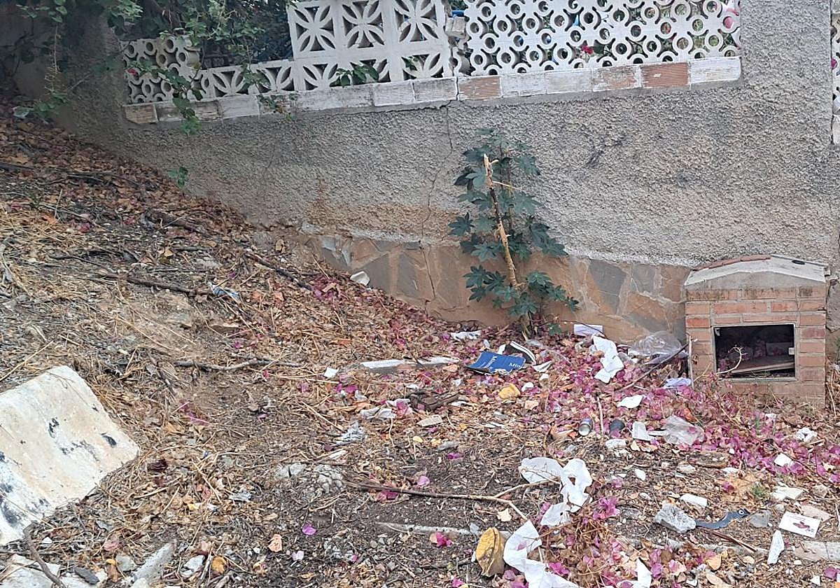 Desperdicios y bolsas de basura en plena calle.
