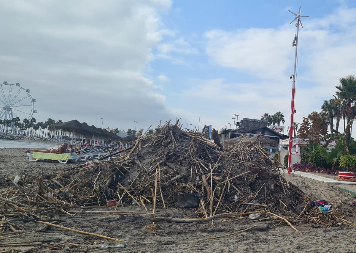Imagen secundaria 1 - El embovedado del arroyo Saltillo; cañas acumuladas en la playa y destrozos en el paseo marítimo.