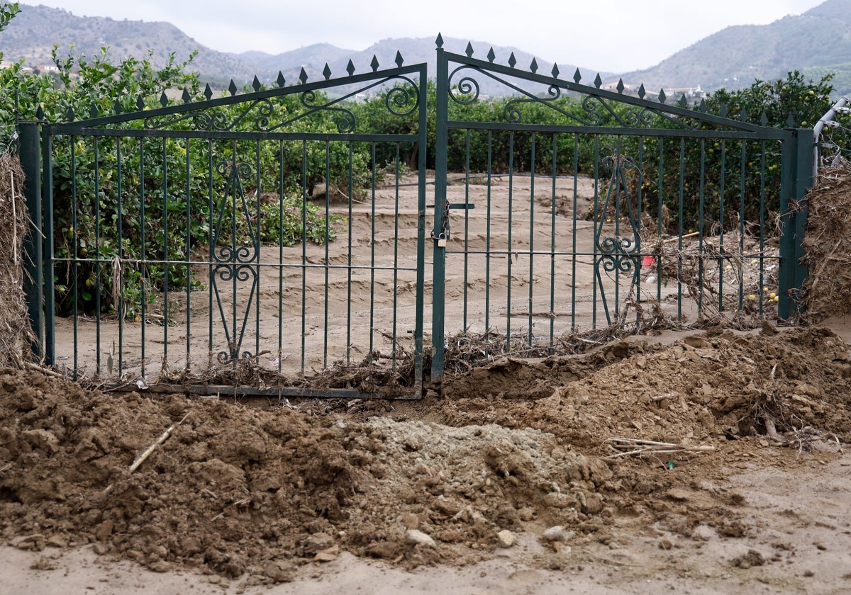 Una finca llena de barro en la zona de La Isla.