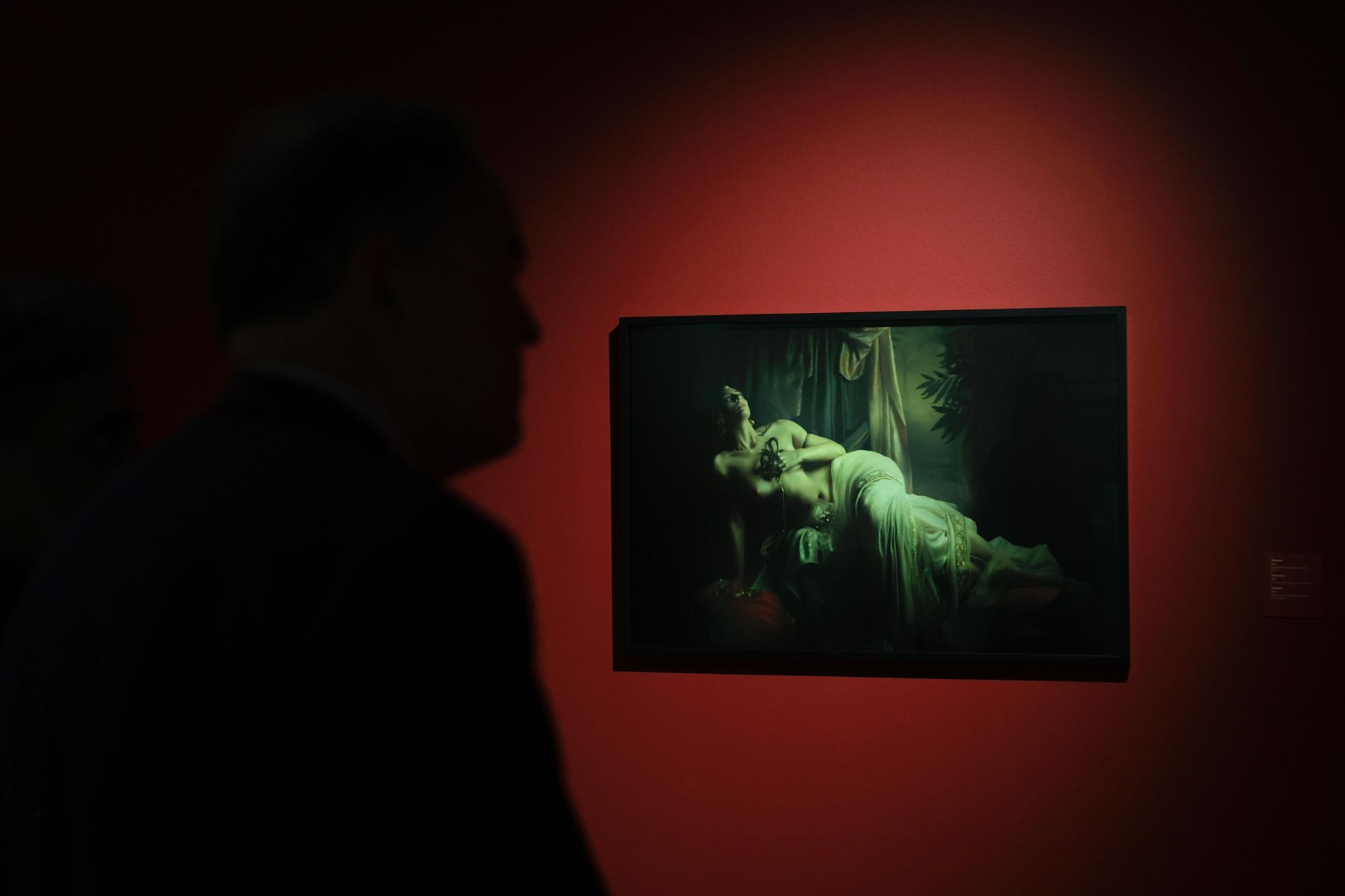 &#039;Belleza furtiva&#039;, de Alisa Sibirskaya, en el Museo Ruso de Málaga