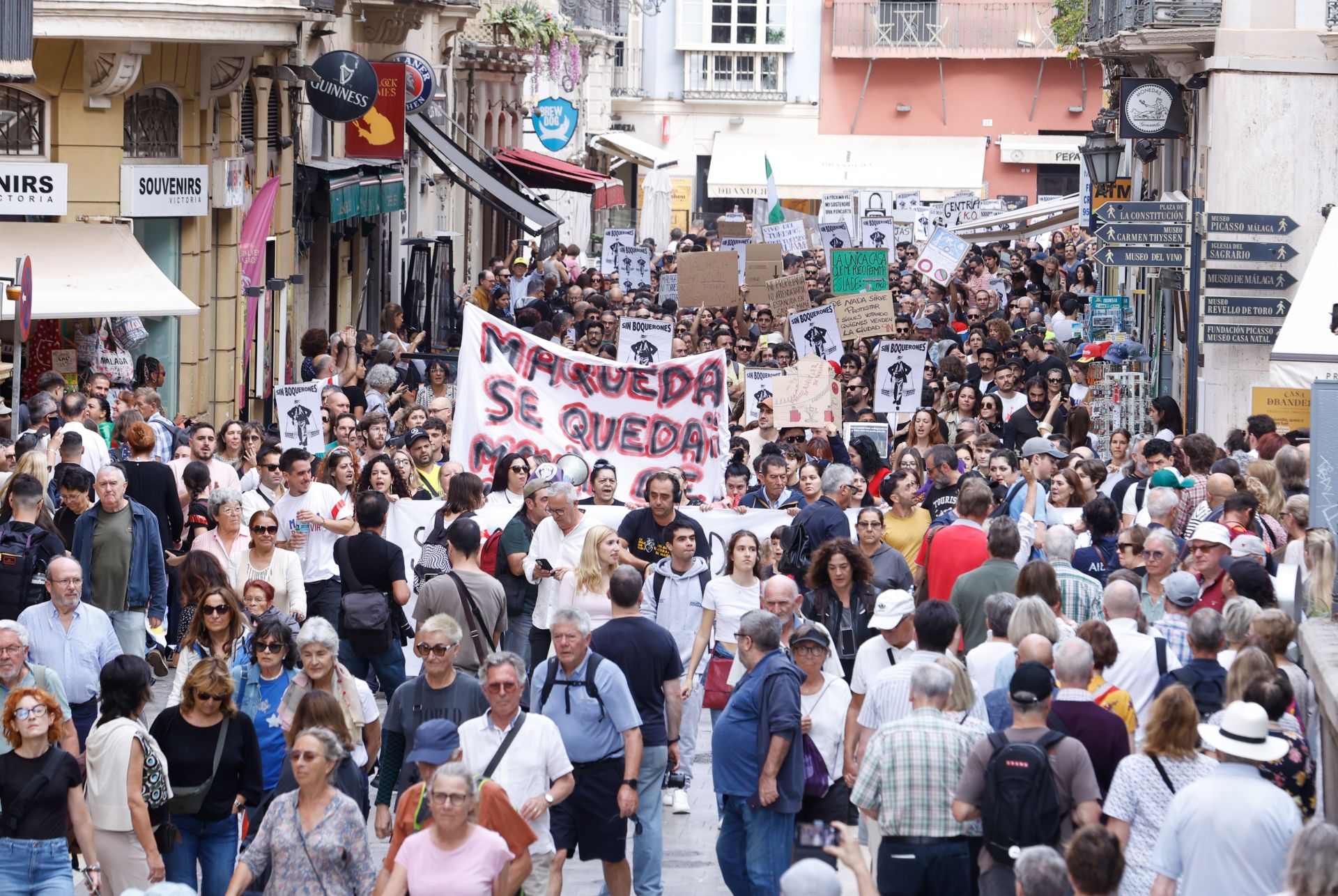 El 9N en Málaga, en imágenes