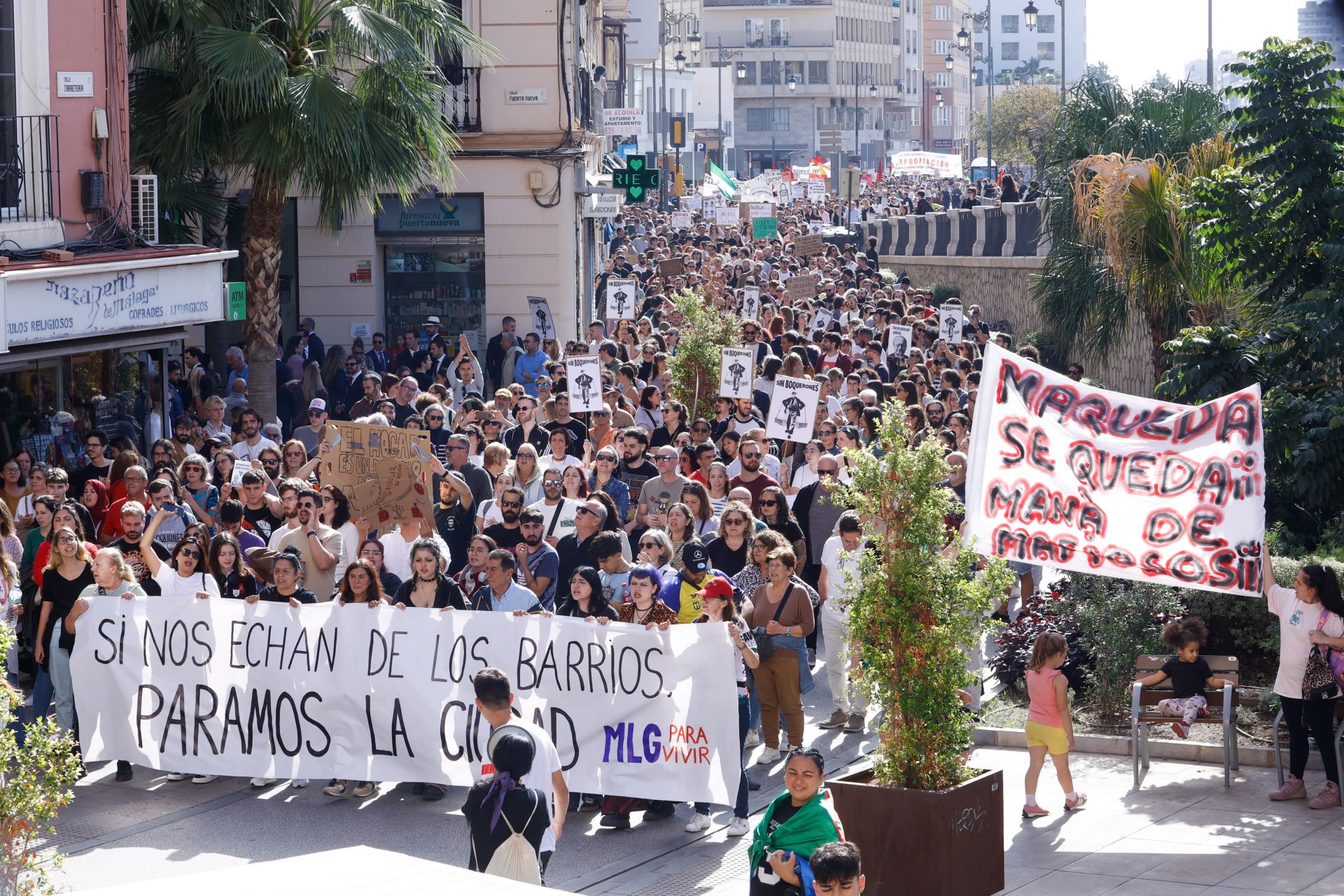 El 9N en Málaga, en imágenes