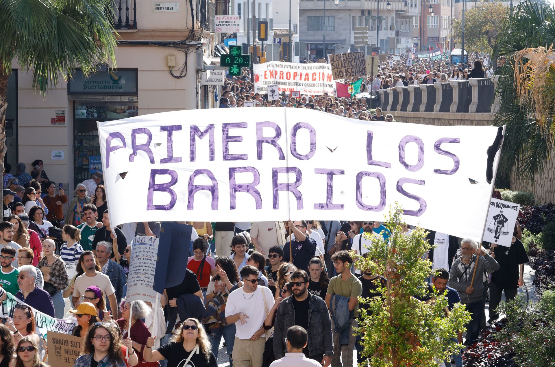 El 9N en Málaga, en imágenes