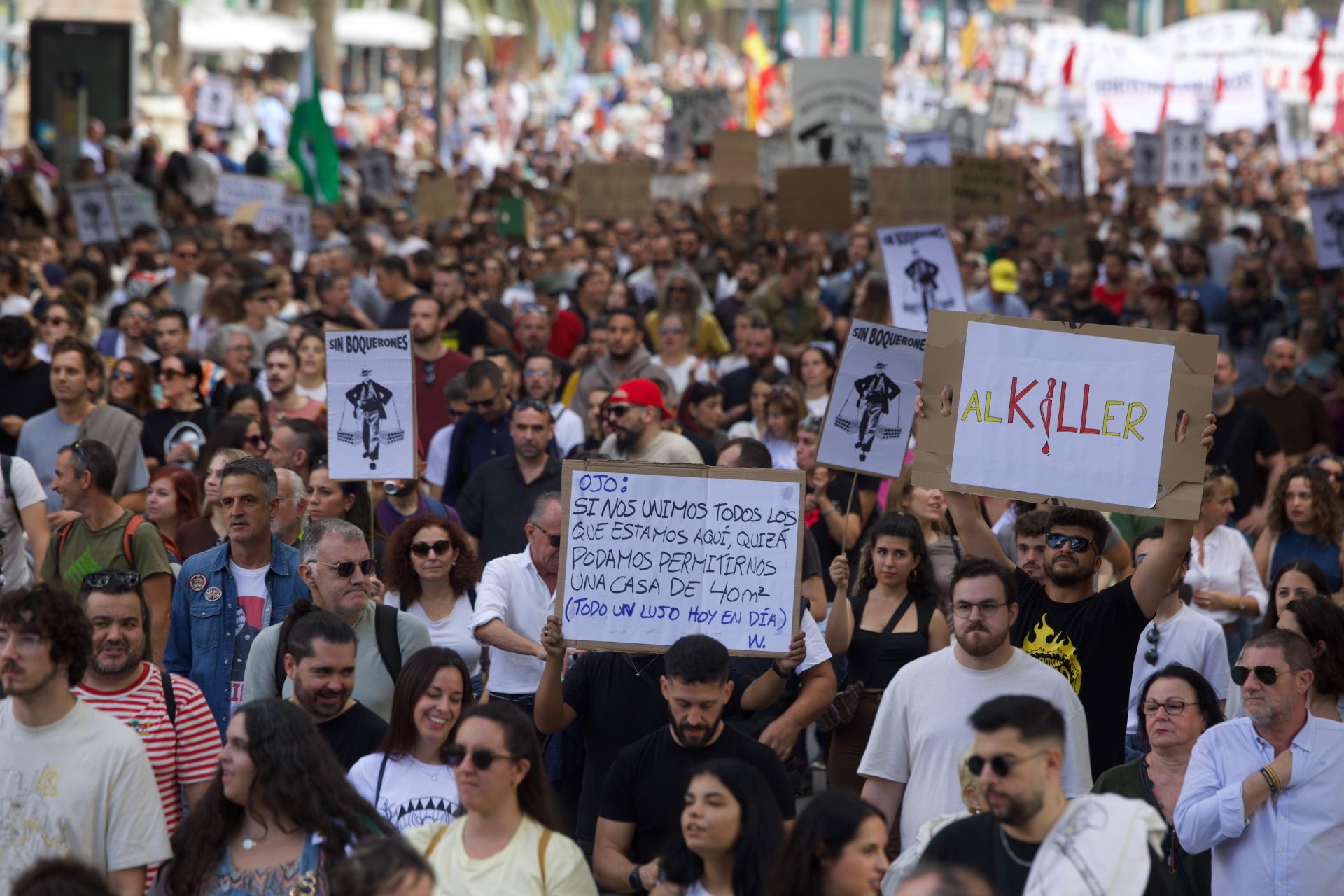 El 9N en Málaga, en imágenes