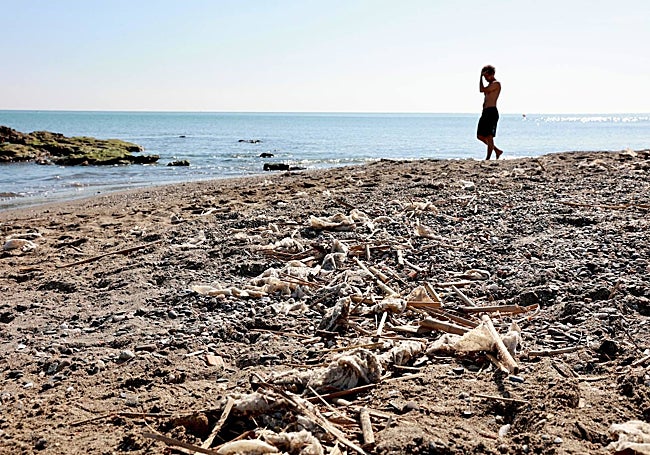 Bañistas pasean por la playa a pesar de la suciedad.