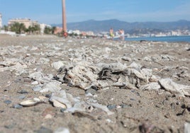 El estado de la playa de La Térmica, esta mañana.