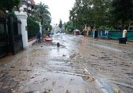 Vista de los efectos de las lluvias de este miércoles en una calle de Málaga.