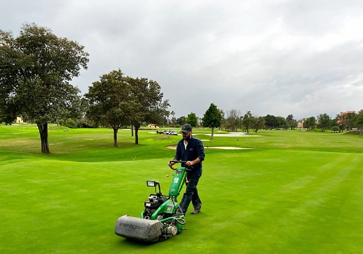Labores de cuidado del césped días después de la primera DANA en Málaga.
